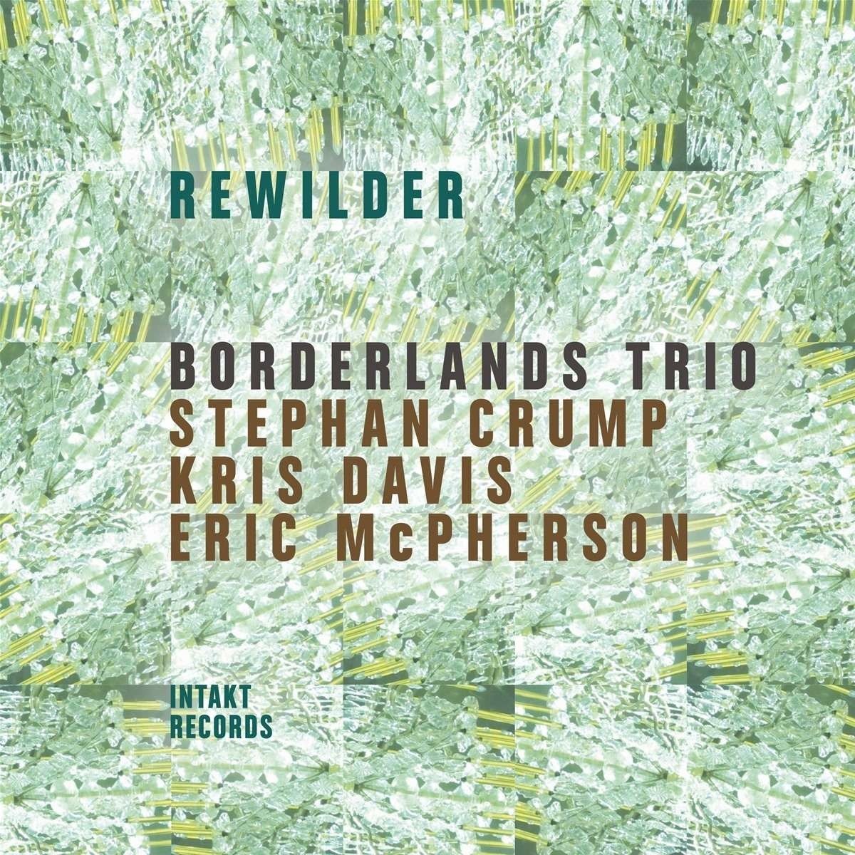 CD Shop - BORDERLANDS TRIO REWILDER