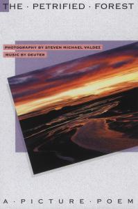 CD Shop - STEVEN MICHAEL VALDEZ PETRIFIED FOREST