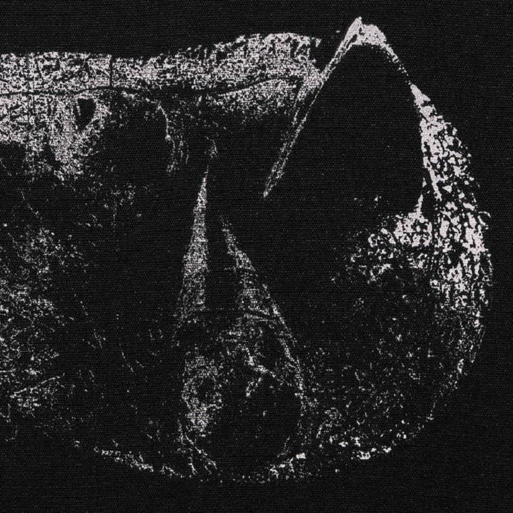 CD Shop - DEMON HEAD VISCERA