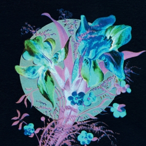 CD Shop - HANNU KARJALAINEN A HANDFUL OF DUST IS A...