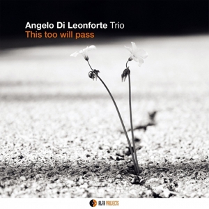 CD Shop - ANGELO DI LEONFORTE TRIO THIS TOO WILL PASS