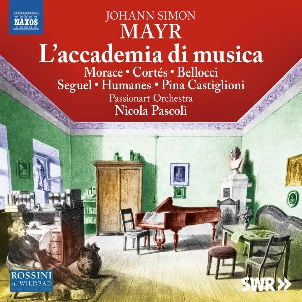 CD Shop - PASSIONART ORCHESTRA MAYR: L\