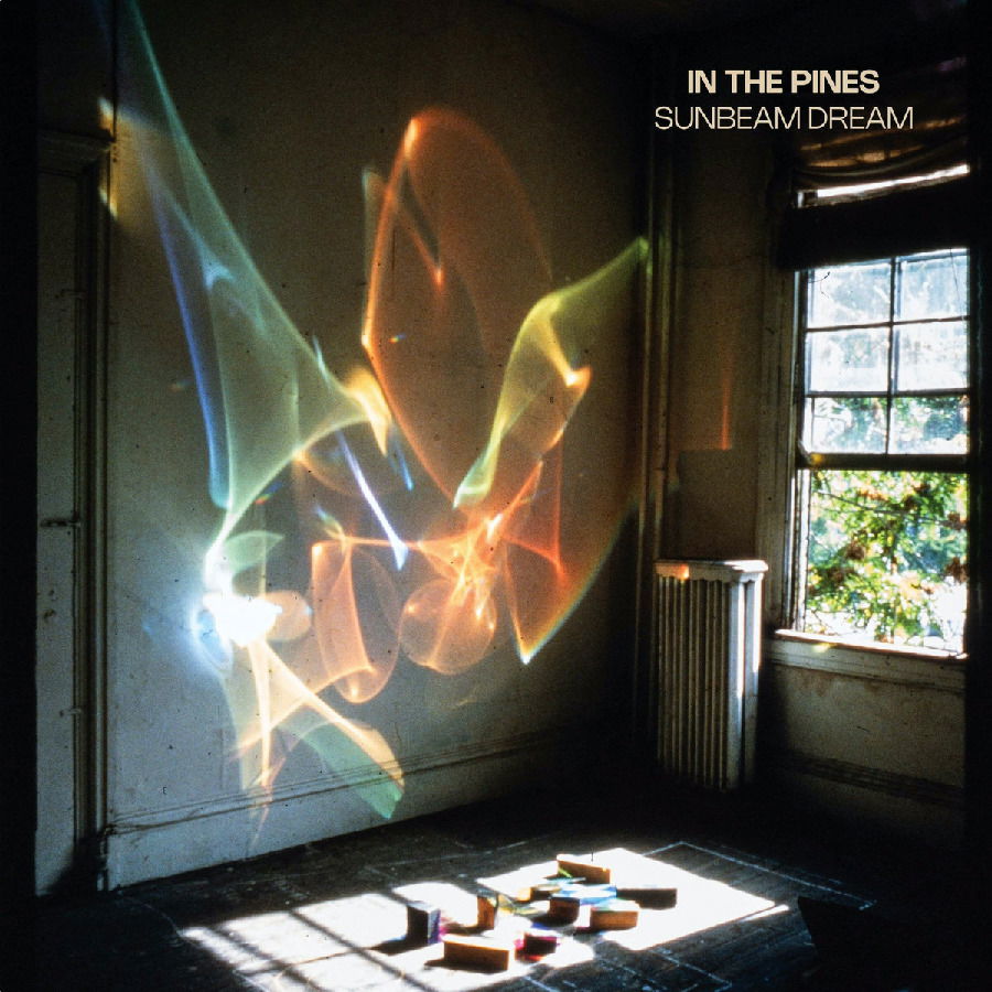 CD Shop - IN THE PINES SUNBEAM DREAM