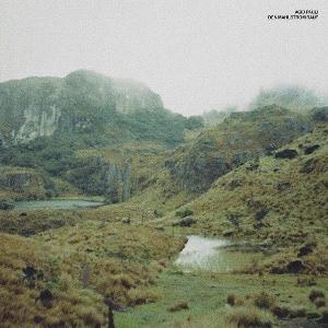 CD Shop - ACID PAULI DEN MAHLSTROM RAUF