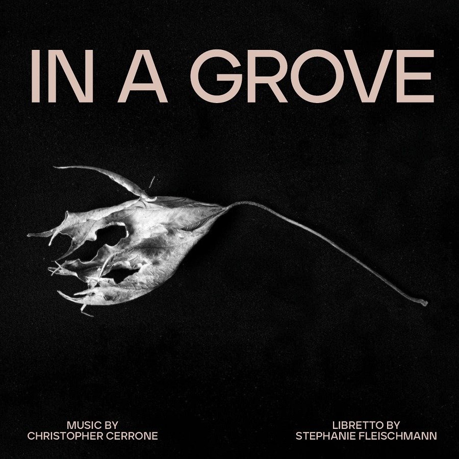 CD Shop - CHRISTOPHER CERRONE IN A GROVE