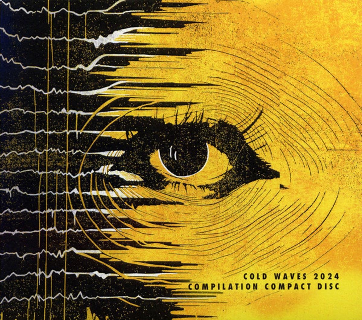 CD Shop - VARIOUS ARTISTS COLD WAVES 2024