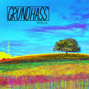 CD Shop - GRUNDHASS WENIG LOS