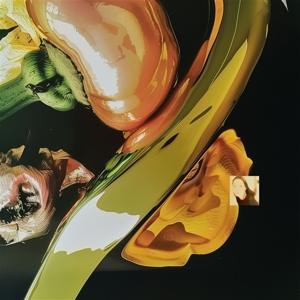 CD Shop - PABLO\