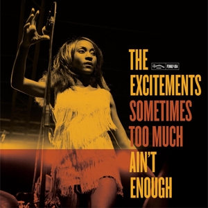 CD Shop - THE EXCITEMENTS SOMETIMES TOO MUCH AIN...