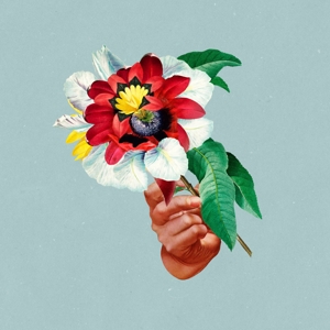 CD Shop - MARIBOU STATE KINGDOMS IN COLOUR