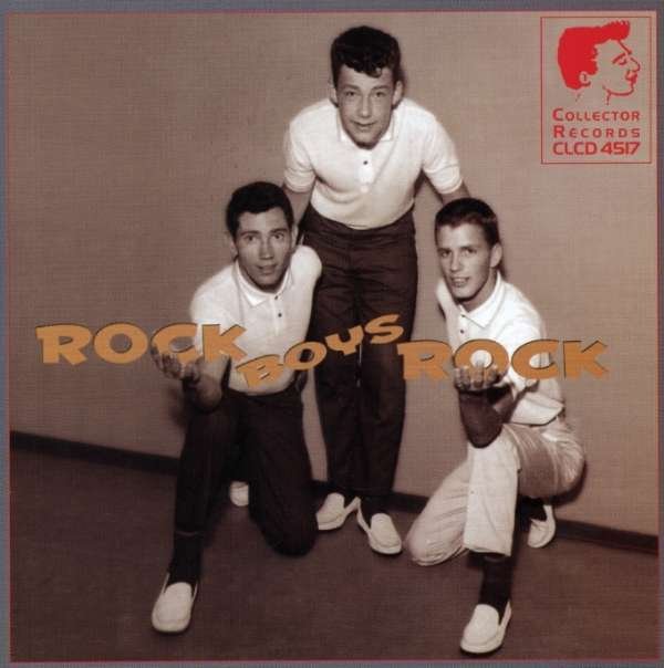 CD Shop - VARIOUS ARTISTS ROCK BOYS ROCK