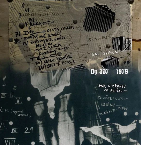 CD Shop - DG 307 Dar stinum / Ptak utrzenej ze retezu 1979