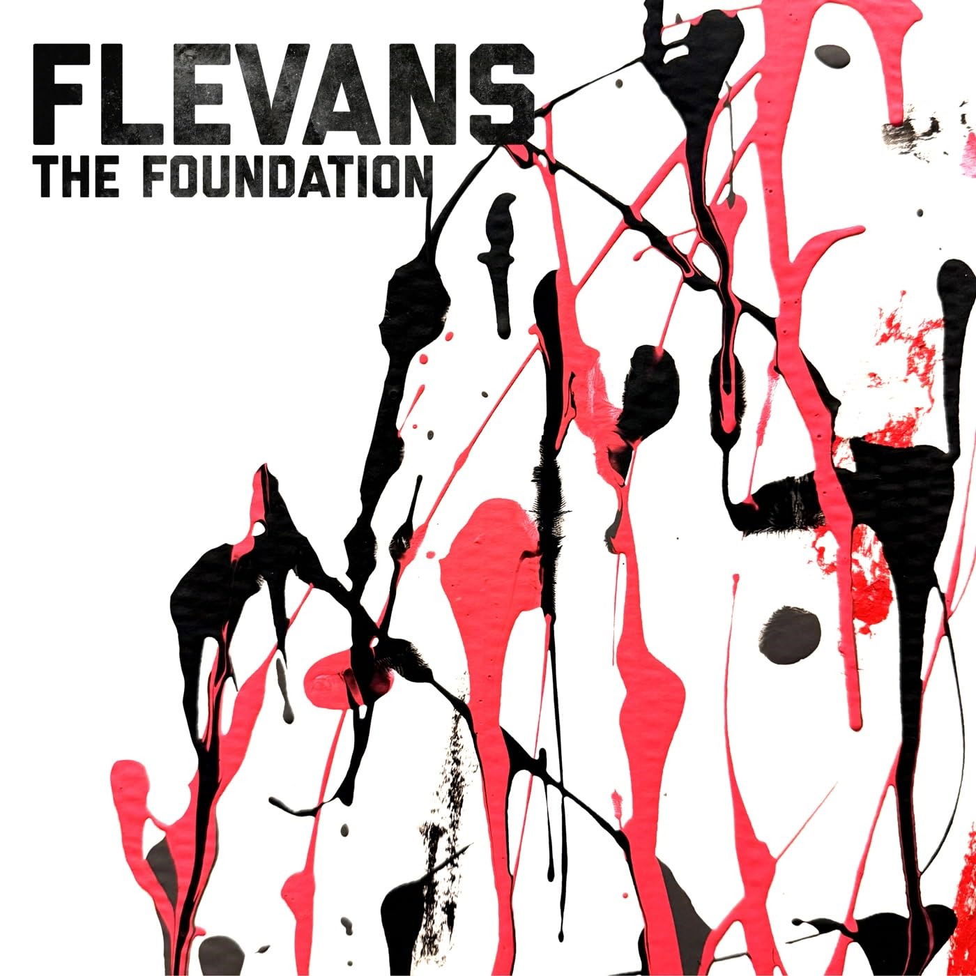 CD Shop - FLEVANS FOUNDATION