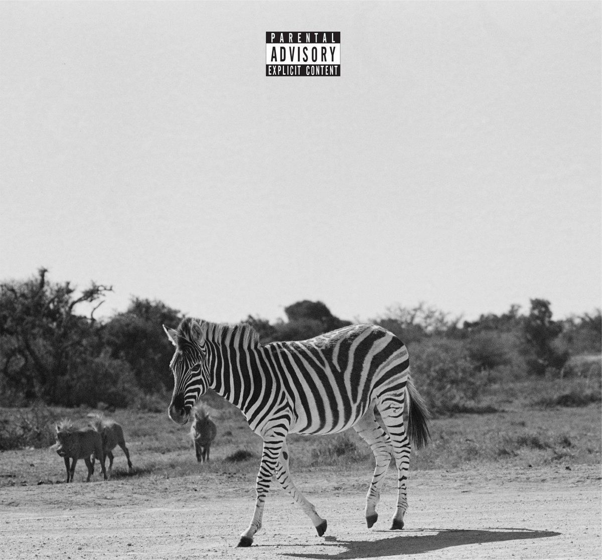 CD Shop - LOUIS VI EARTHLING