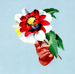 CD Shop - MARIBOU STATE KINGDOMS IN COLOUR