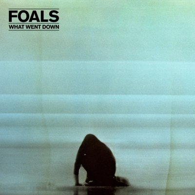 CD Shop - FOALS WHAT WENT DOWN