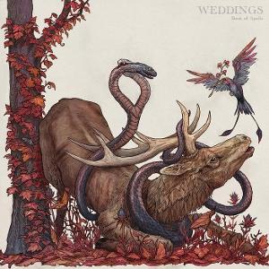 CD Shop - WEDDINGS BOOK OF SPELLS