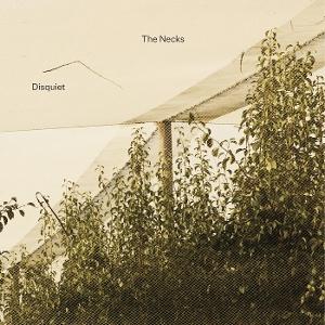 CD Shop - THE NECKS DISQUIET