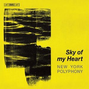 CD Shop - NEW YORK POLYPHONY BYRD, GIBBONS & TA...
