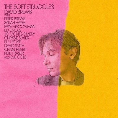 CD Shop - DAVID BREWIS SOFT STRUGGLES