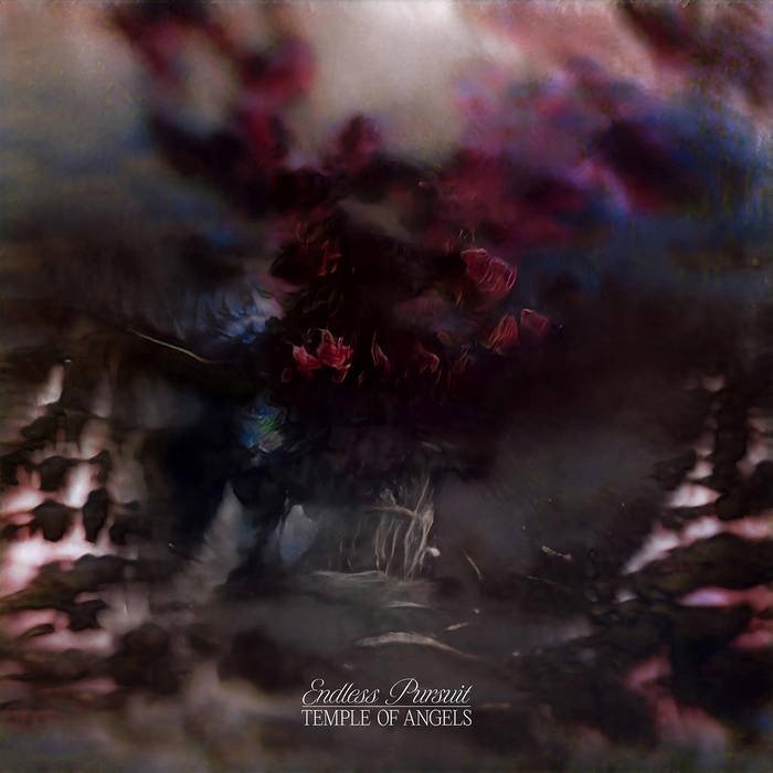 CD Shop - TEMPLE OF ANGELS ENDLESS PURSUIT (CLOUD...