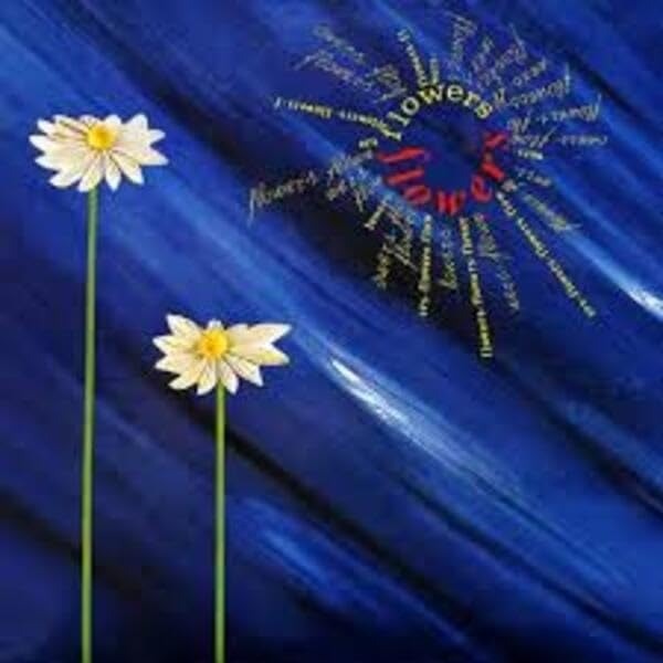 CD Shop - ZUNI FLOWERS