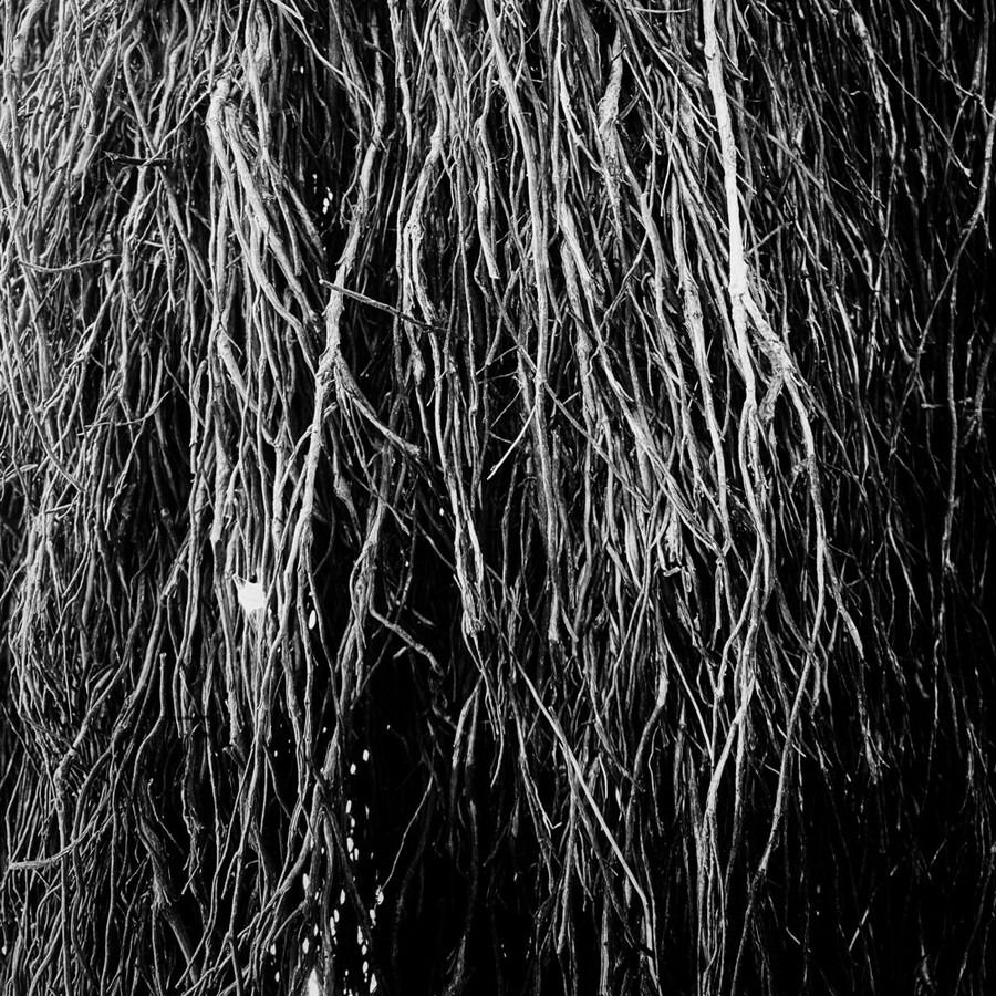 CD Shop - MERZBOW & ERALDO BERNOCCHI & IGOR CAVALERA NOCTURNAL RAINFOREST