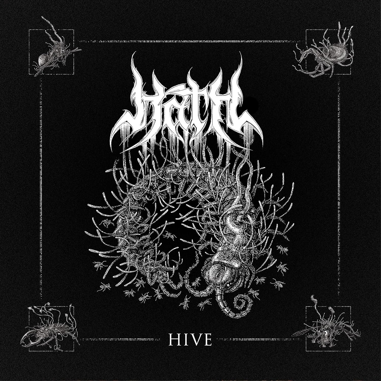 CD Shop - HATH HIVE