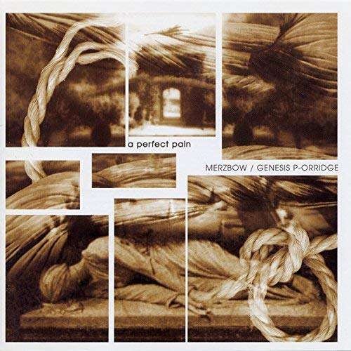 CD Shop - MERZBOW,GENESIS BREYER P-ORRIDGE A PERFECT PAIN