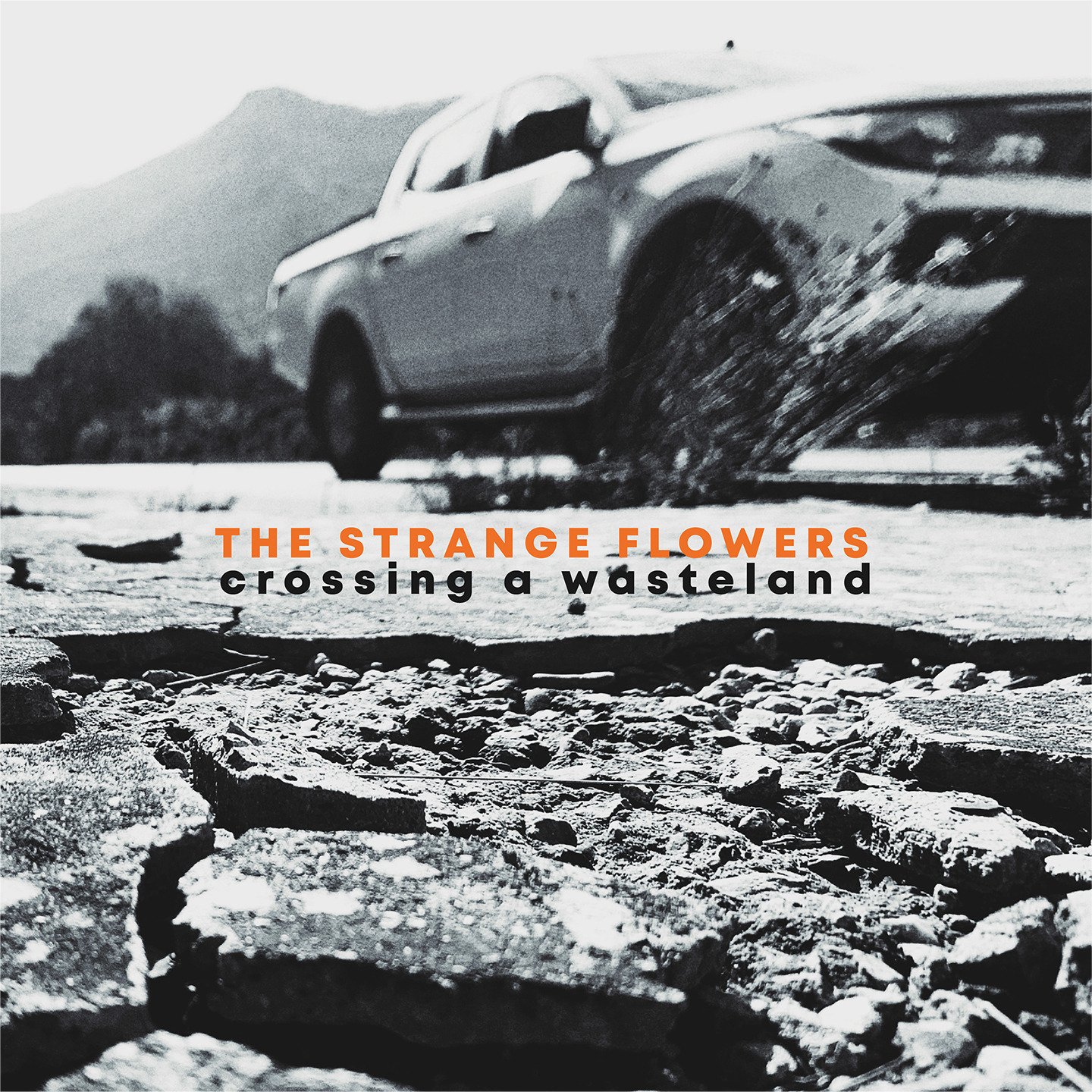 CD Shop - THE STRANGE FLOWERS CROSSING A WASTELAND