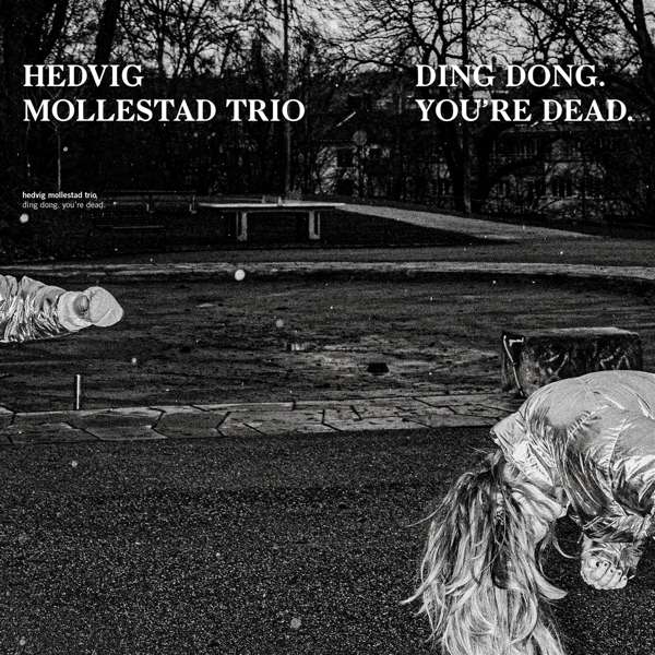 CD Shop - HEDVIG MOLLESTAD TRIO DING DONG. YOU\