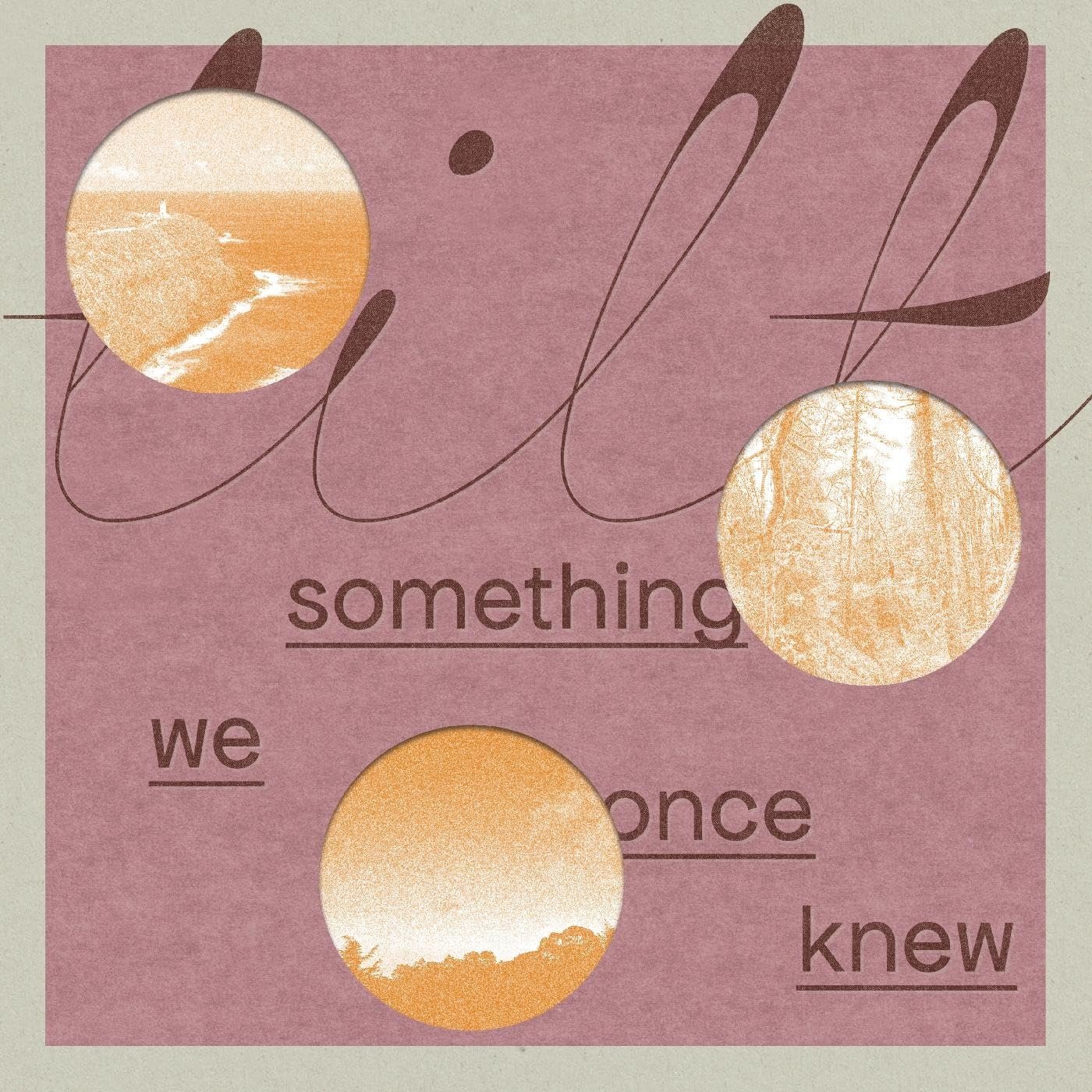 CD Shop - TILT SOMETHING WE ONCE KNEW