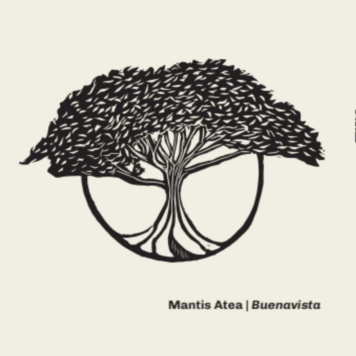 CD Shop - MANTIS ATEA BUENAVISTA