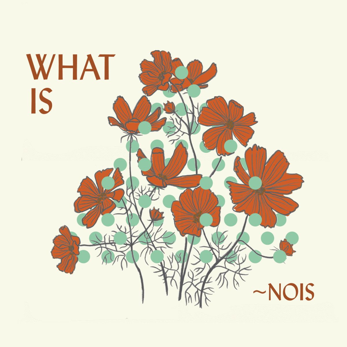 CD Shop - NOIS WHAT IS ~NOIS?