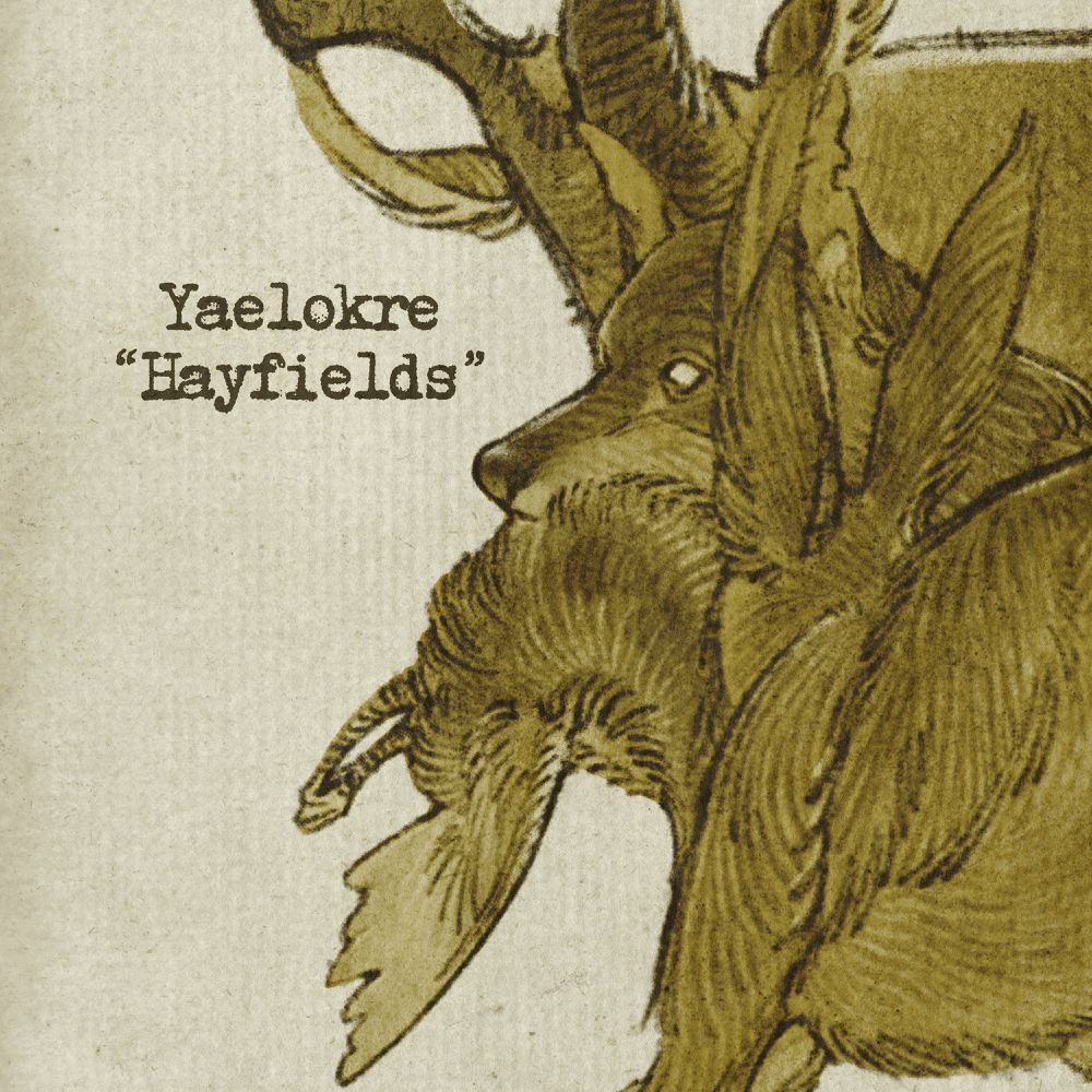 CD Shop - YAELOKRE HAYFIELDS