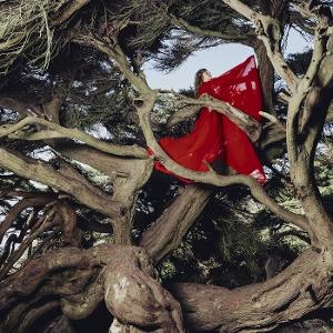CD Shop - HANNAH FRANCES NESTED IN TANGLES
