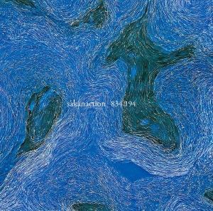 CD Shop - SAKANACTION 834,194