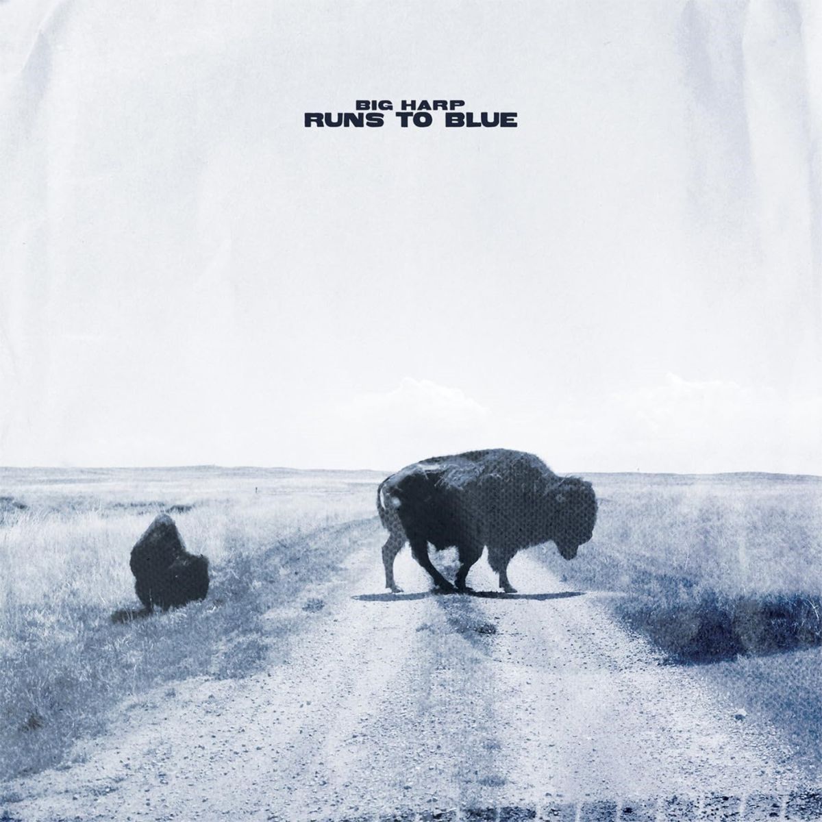 CD Shop - BIG HARP RUNS TO BLUE