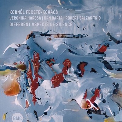 CD Shop - KORNEL FEKETE-KOVACS DIFFERENT ASPECTS OF S...