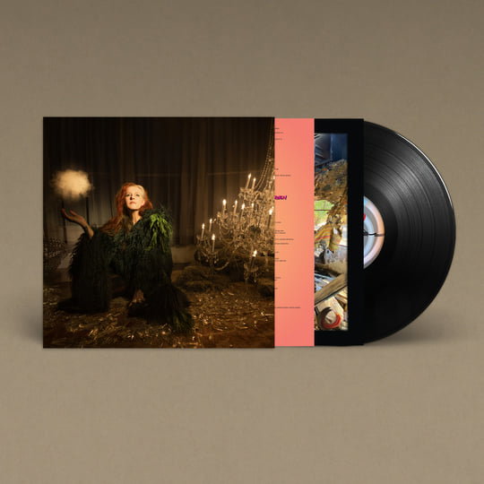CD Shop - NEKO CASE NEO GREY MIDNIGHT GREEN