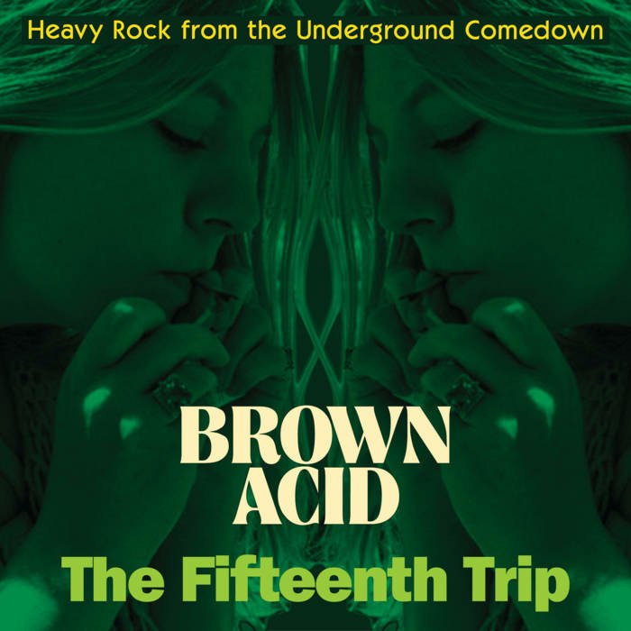 CD Shop - VARIOUS ARTISTS BROWN ACID: THE FIFTEE...