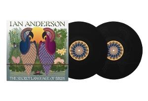 CD Shop - IAN ANDERSON SECRET LANGUAGE OF BIRDS