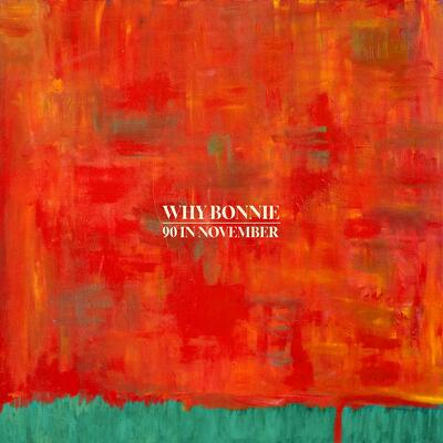 CD Shop - WHY BONNIE 90 IN NOVEMBER