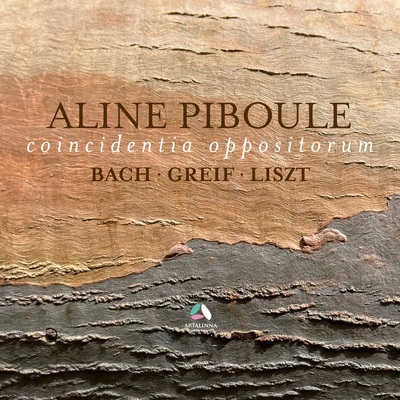 CD Shop - ALINE PIBOULE ARCHIPEL