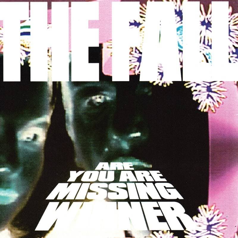 CD Shop - THE FALL ARE YOU ARE MISSING WI...