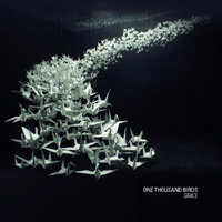 CD Shop - GRICE ONE THOUSAND BIRDS