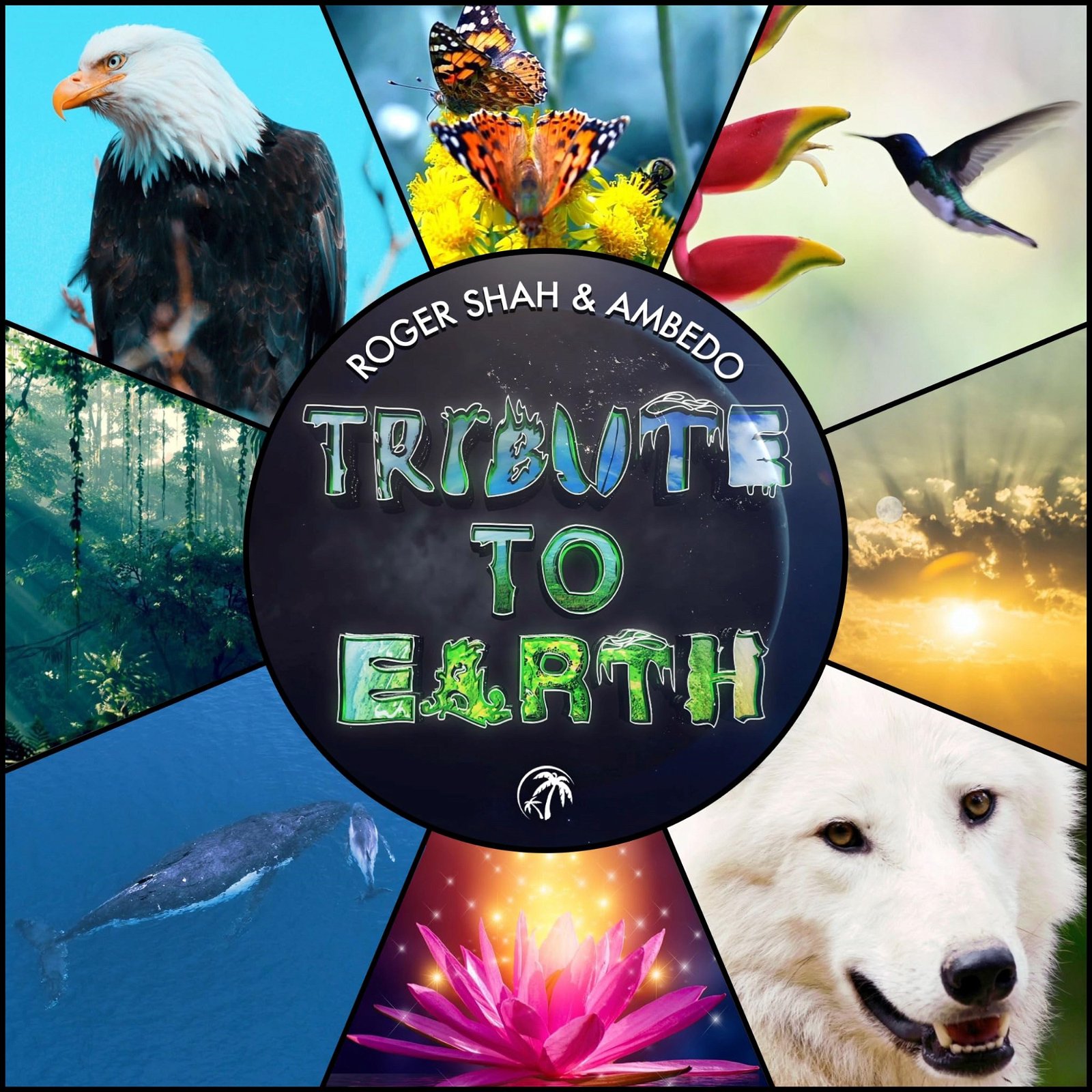 CD Shop - ROGER & AMBEDO SHAH TRIBUTE TO EARTH