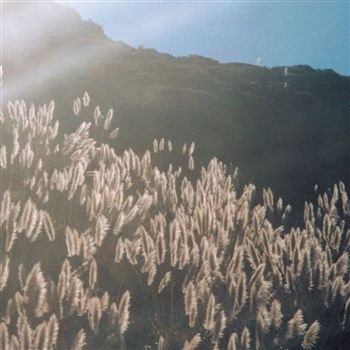 CD Shop - BLITHE SONS GREAT ORTHOCHROMATIC W...