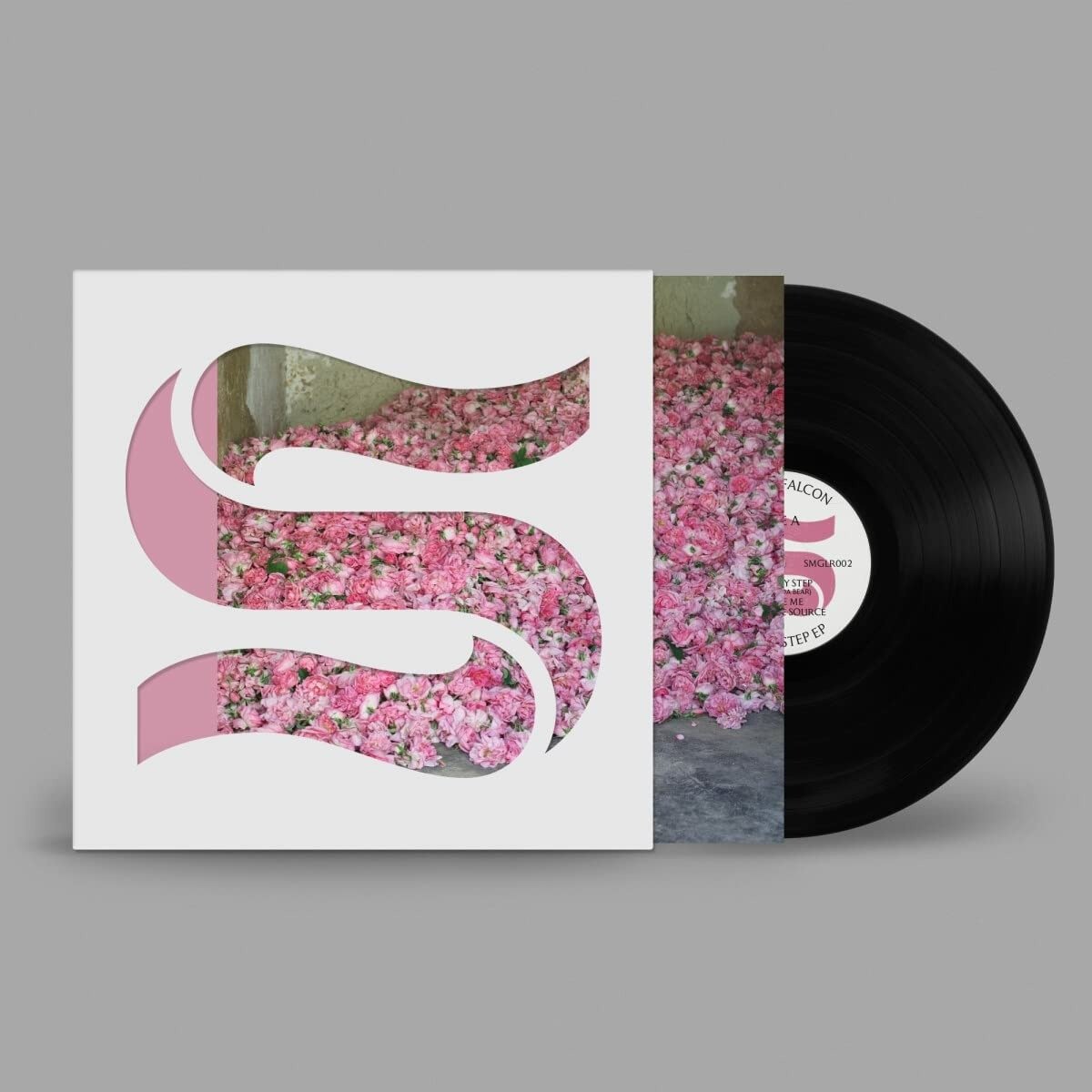 CD Shop - BRAXE & FALCON STEP BY STEP