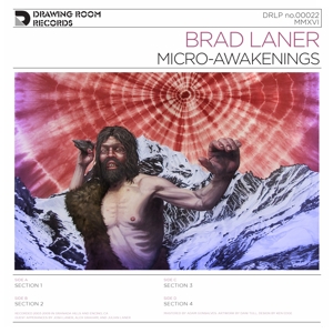 CD Shop - BRAD LANER MICRO-AWAKENINGS -HQ-